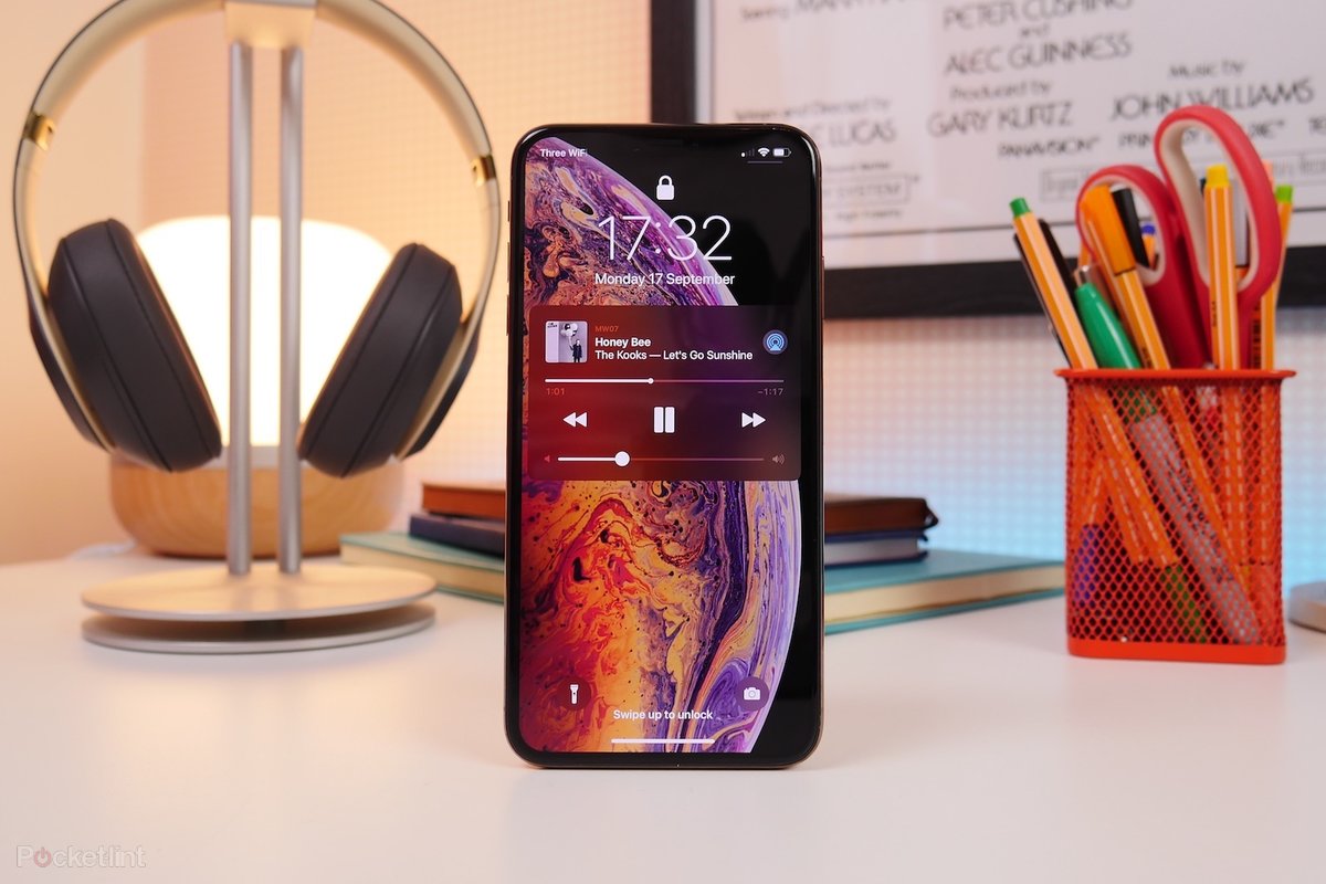 Apple iPhone XS Max 256GB - Factory Unlocked