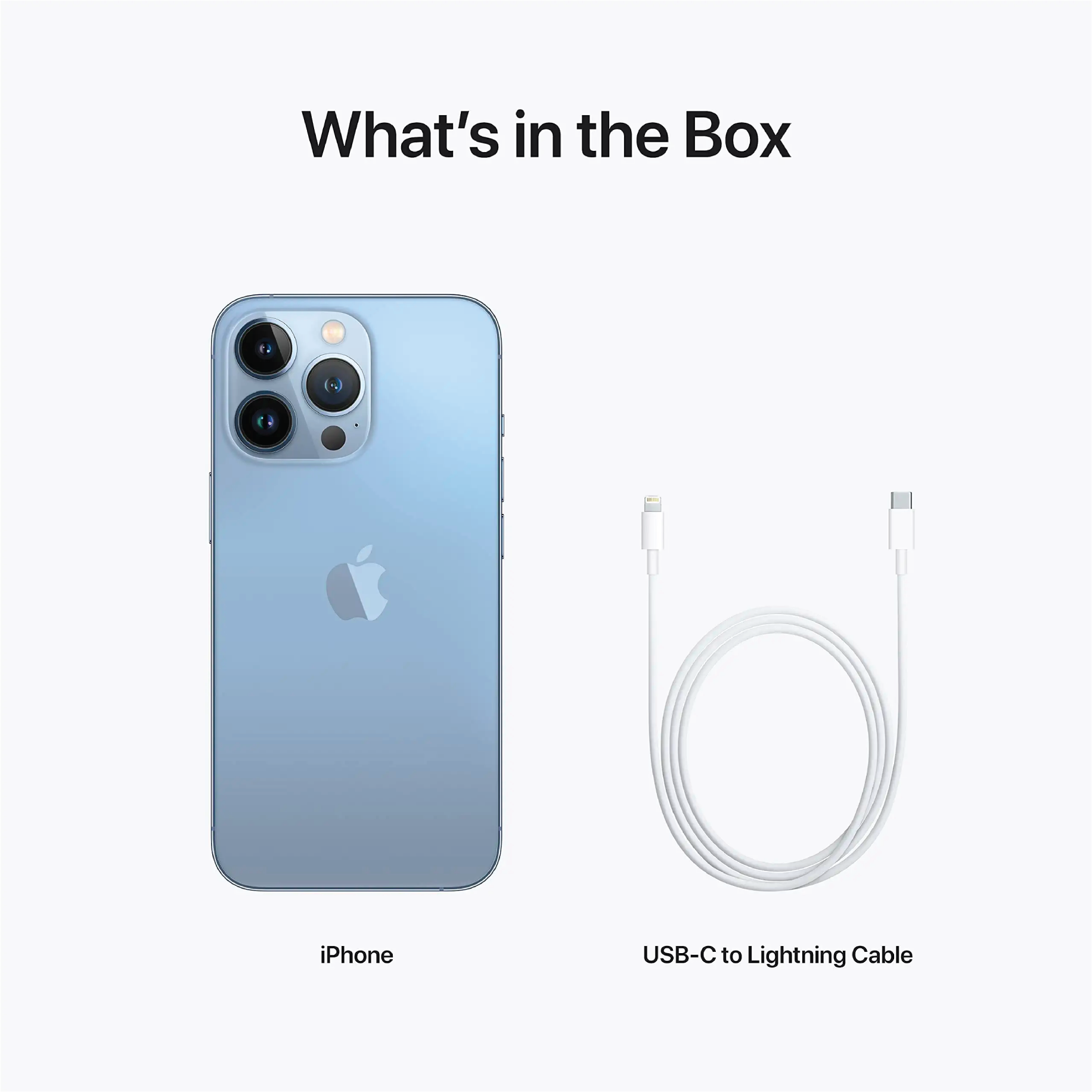 Apple iPhone 13 Pro 256GB - Factory Unlocked